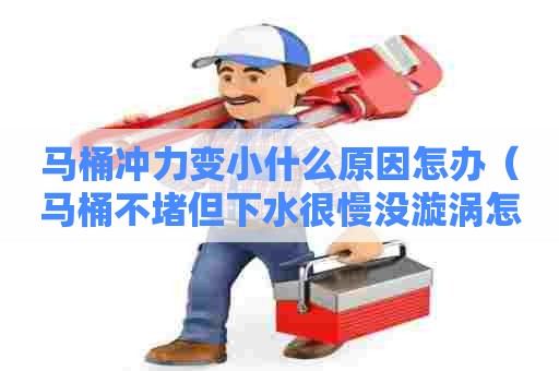 马桶冲力变小什么原因怎办(马桶不堵但下水很慢没漩涡怎么办) 马桶冲力变小什么原因怎办(马桶不堵但下水很慢没漩涡怎么办)