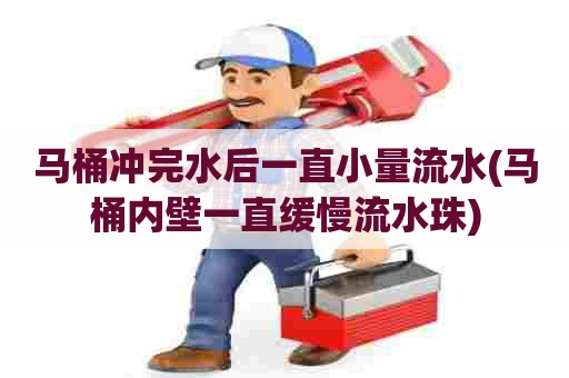 马桶冲完水后一直小量流水(马桶内壁一直缓慢流水珠)