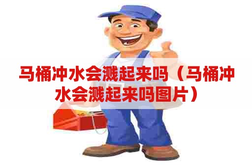 马桶冲水会溅起来吗（马桶冲水会溅起来吗图片）