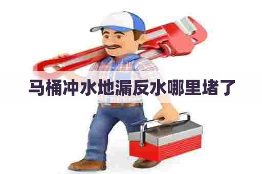 马桶冲水地漏反水哪里堵了