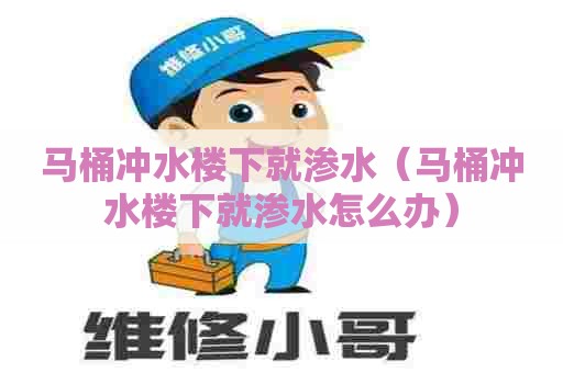 马桶冲水楼下就渗水（马桶冲水楼下就渗水怎么办）