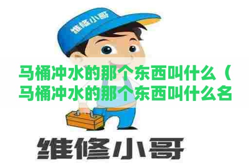 马桶冲水的那个东西叫什么（马桶冲水的那个东西叫什么名字）