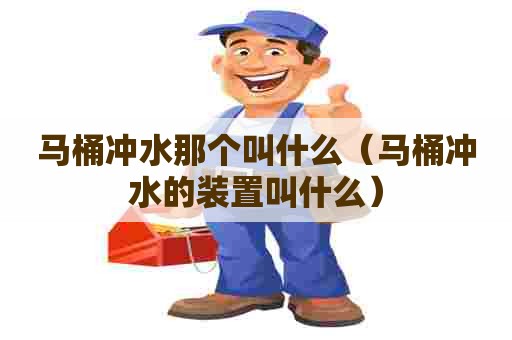 马桶冲水那个叫什么（马桶冲水的装置叫什么）