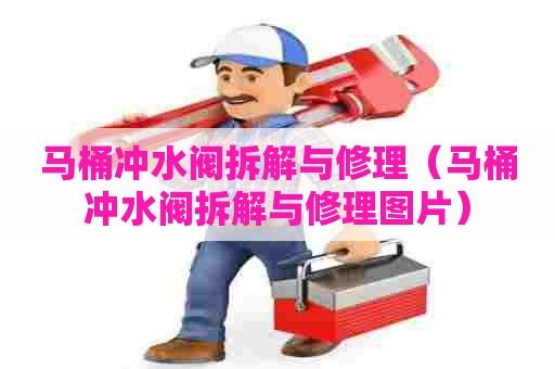 马桶冲水阀拆解与修理（马桶冲水阀拆解与修理图片）