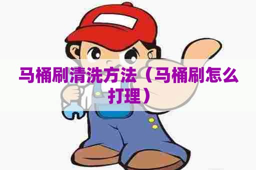 马桶刷清洗方法（马桶刷怎么打理）