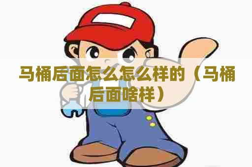 马桶后面怎么怎么样的（马桶后面啥样）