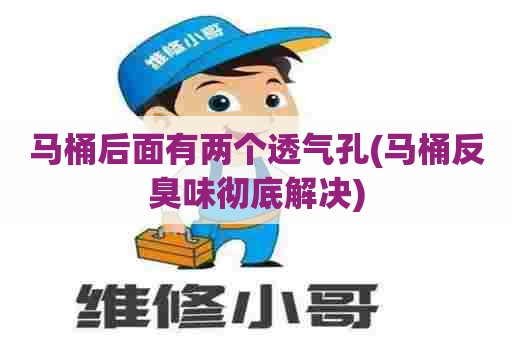 马桶后面有两个透气孔(马桶反臭味彻底解决) 马桶后面有两个透气孔(马桶反臭味彻底解决)