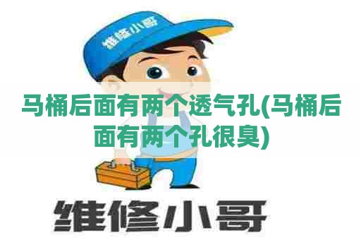 马桶后面有两个透气孔(马桶后面有两个孔很臭) 马桶后面有两个透气孔(马桶后面有两个孔很臭)