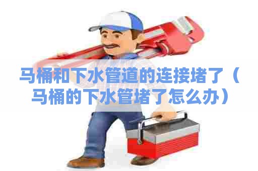 马桶和下水管道的连接堵了（马桶的下水管堵了怎么办）