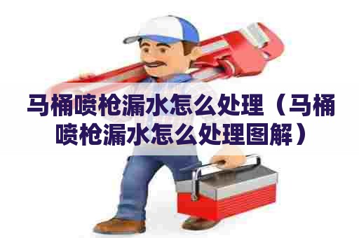 马桶喷枪漏水怎么处理（马桶喷枪漏水怎么处理图解）