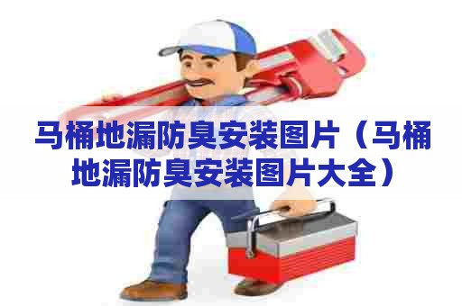 马桶地漏防臭安装图片（马桶地漏防臭安装图片大全）