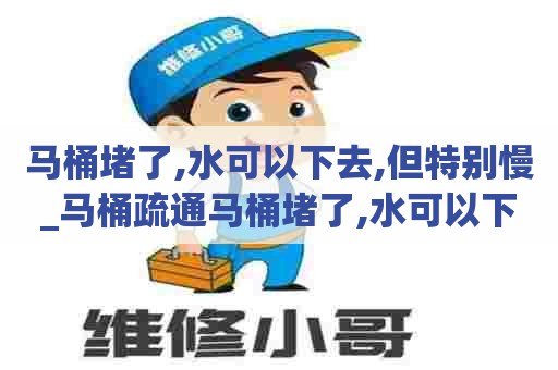 马桶堵了,水可以下去,但特别慢_马桶疏通马桶堵了,水可以下去,但特别慢怎么办