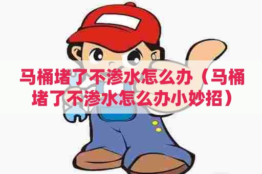 马桶堵了不渗水怎么办(马桶堵了不渗水怎么办小妙招) 马桶堵了不渗水怎么办(马桶堵了不渗水怎么办小妙招)