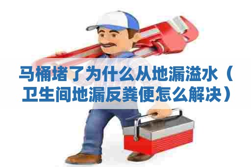 马桶堵了为什么从地漏溢水(卫生间地漏反粪便怎么解决) 马桶堵了为什么从地漏溢水(卫生间地漏反粪便怎么解决)