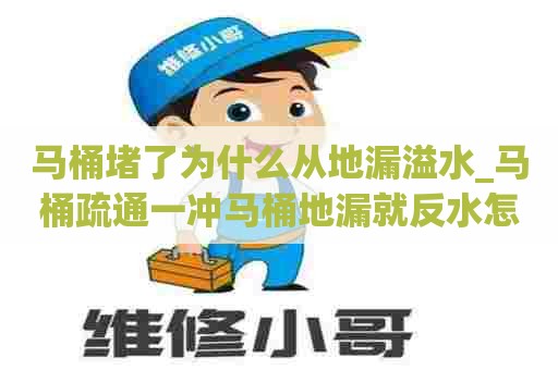 马桶堵了为什么从地漏溢水_马桶疏通一冲马桶地漏就反水怎么解决