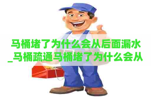 马桶堵了为什么会从后面漏水_马桶疏通马桶堵了为什么会从后面漏水呢