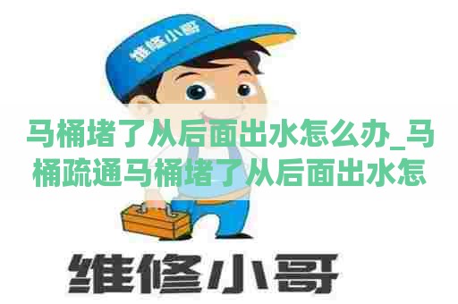 马桶堵了从后面出水怎么办_马桶疏通马桶堵了从后面出水怎么办啊