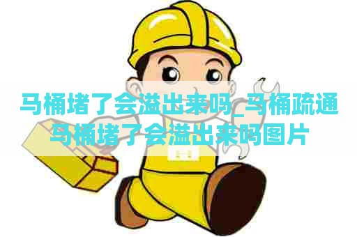 马桶堵了会溢出来吗_马桶疏通马桶堵了会溢出来吗图片