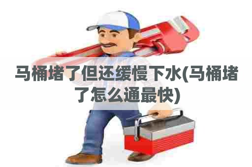 马桶堵了但还缓慢下水(马桶堵了怎么通最快) 马桶堵了但还缓慢下水(马桶堵了怎么通最快)