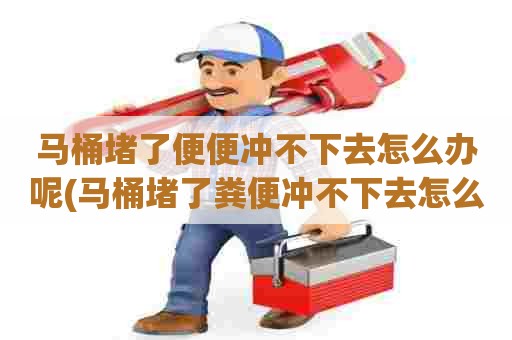 马桶堵了便便冲不下去怎么办呢(马桶堵了粪便冲不下去怎么办) 马桶堵了便便冲不下去怎么办呢(马桶堵了粪便冲不下去怎么办)