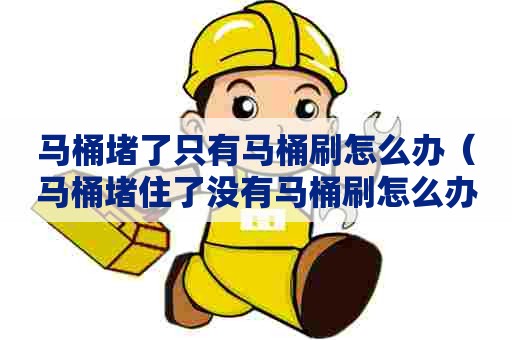 马桶堵了只有马桶刷怎么办（马桶堵住了没有马桶刷怎么办）