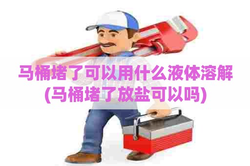 马桶堵了可以用什么液体溶解(马桶堵了放盐可以吗) 马桶堵了可以用什么液体溶解(马桶堵了放盐可以吗)