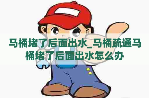 马桶堵了后面出水_马桶疏通马桶堵了后面出水怎么办