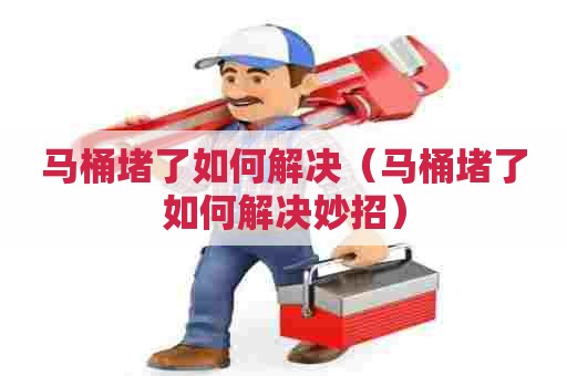 马桶堵了如何解决（马桶堵了如何解决妙招）