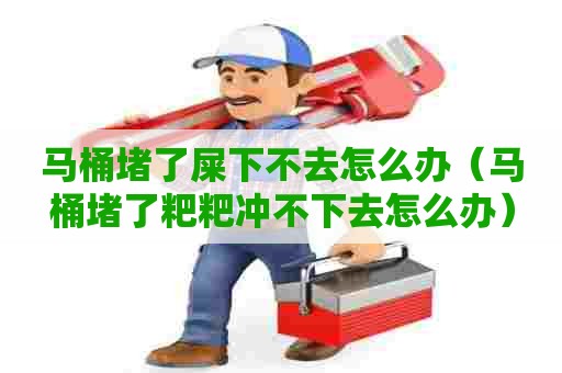 马桶堵了屎下不去怎么办（马桶堵了粑粑冲不下去怎么办）