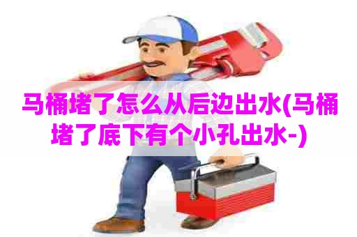 马桶堵了怎么从后边出水(马桶堵了底下有个小孔出水-) 马桶堵了怎么从后边出水(马桶堵了底下有个小孔出水-)