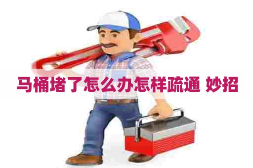 马桶堵了怎么办怎样疏通 妙招