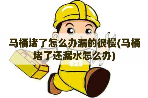 马桶堵了怎么办漏的很慢(马桶堵了还漏水怎么办) 马桶堵了怎么办漏的很慢(马桶堵了还漏水怎么办)