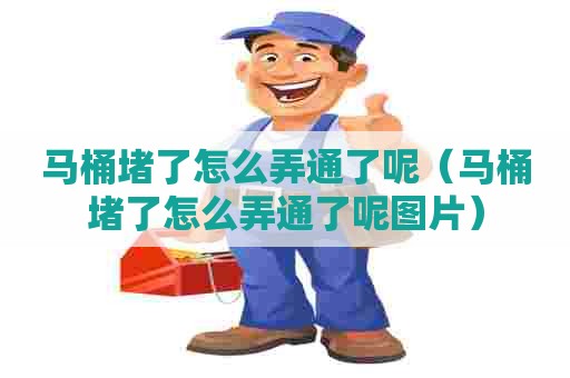 马桶堵了怎么弄通了呢（马桶堵了怎么弄通了呢图片）