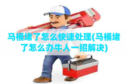 马桶堵了怎么快速处理(马桶堵了怎么办牛人一招解决)