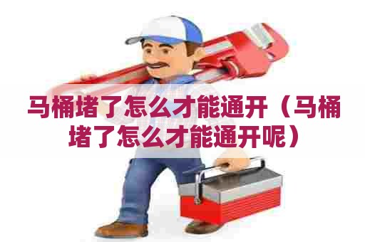 马桶堵了怎么才能通开（马桶堵了怎么才能通开呢）