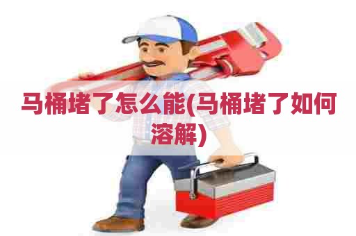 马桶堵了怎么能(马桶堵了如何溶解) 马桶堵了怎么能(马桶堵了如何溶解)