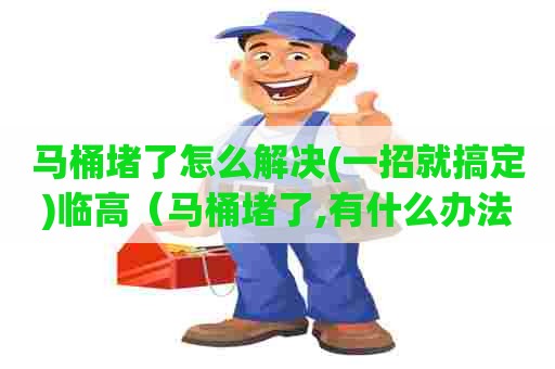 马桶堵了怎么解决(一招就搞定)临高（马桶堵了,有什么办法?）