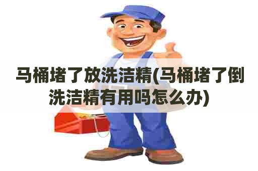 马桶堵了放洗洁精(马桶堵了倒洗洁精有用吗怎么办) 马桶堵了放洗洁精(马桶堵了倒洗洁精有用吗怎么办)