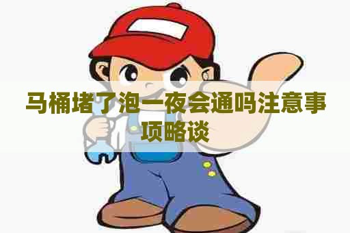 马桶堵了泡一夜会通吗注意事项略谈 马桶堵了泡一夜会通吗注意事项略谈