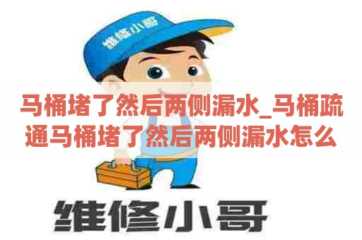 马桶堵了然后两侧漏水_马桶疏通马桶堵了然后两侧漏水怎么办 马桶堵了然后两侧漏水_马桶疏通马桶堵了然后两侧漏水怎么办