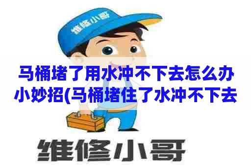 马桶堵了用水冲不下去怎么办小妙招(马桶堵住了水冲不下去) 马桶堵了用水冲不下去怎么办小妙招(马桶堵住了水冲不下去)