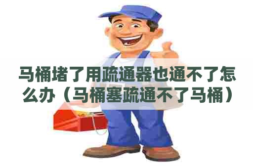 马桶堵了用疏通器也通不了怎么办（马桶塞疏通不了马桶）