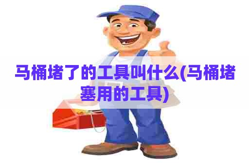 马桶堵了的工具叫什么(马桶堵塞用的工具)