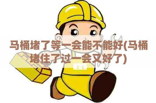 马桶堵了等一会能不能好(马桶堵住了过一会又好了)