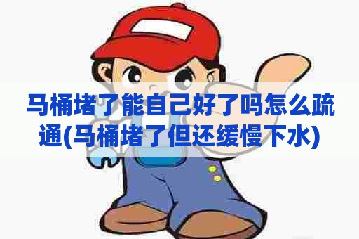 马桶堵了能自己好了吗怎么疏通(马桶堵了但还缓慢下水)