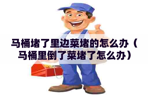 马桶堵了里边菜堵的怎么办（马桶里倒了菜堵了怎么办）