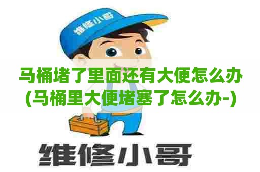 马桶堵了里面还有大便怎么办(马桶里大便堵塞了怎么办-)
