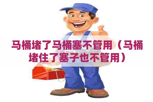 马桶堵了马桶塞不管用（马桶堵住了塞子也不管用）