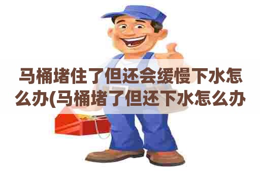 马桶堵住了但还会缓慢下水怎么办(马桶堵了但还下水怎么办)