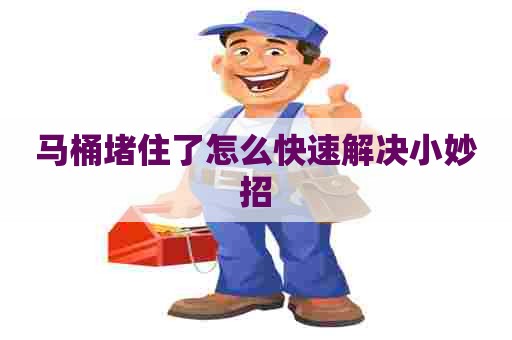 马桶堵住了怎么快速解决小妙招